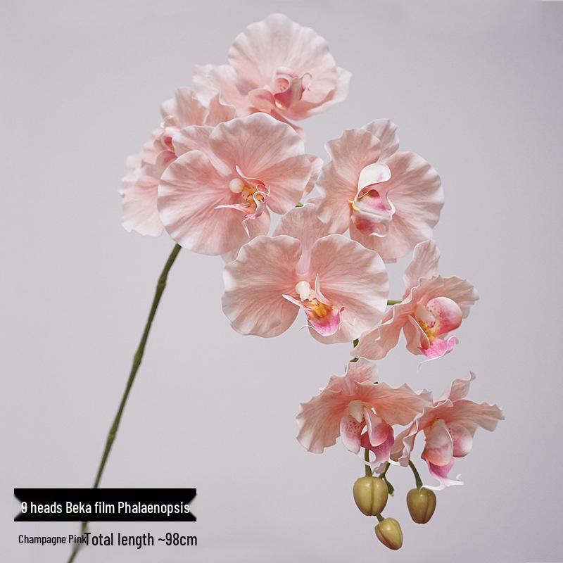 High-Quality Phalaenopsis Simulation with 9 Heads - Little Red Book Style Flower Decoration for Photography