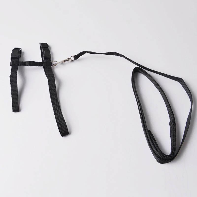 Verstellbarer Haustier-Traktionsgürtel, Katzenhalter, kleines Haustier-Hundegeschirr und Leine-Halsband