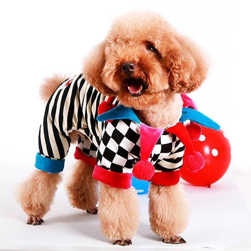 dog circus costume