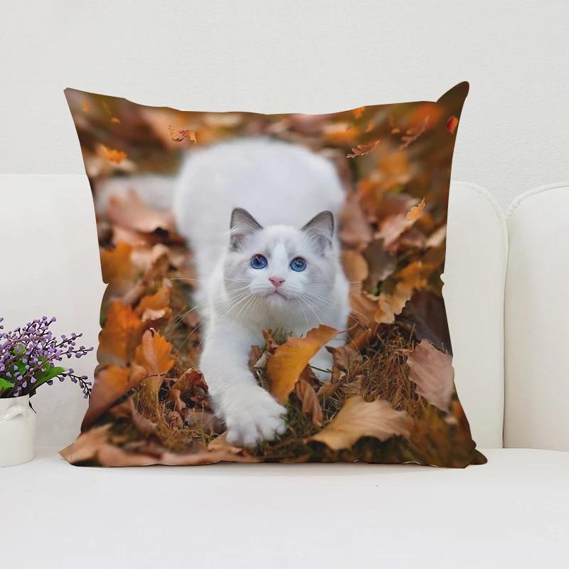 Cute Cat Decorative Pillow Cover 45x45 Cushions Covers Pillowcase 45*45 Bed Pillowcases Cover for Living Room Cushions Cushion