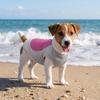Breathable Mesh Pet Cooling Shirt Ice-Silk Pet Cool Clothes Dog Cooling Ice Vest  Beach Travel
