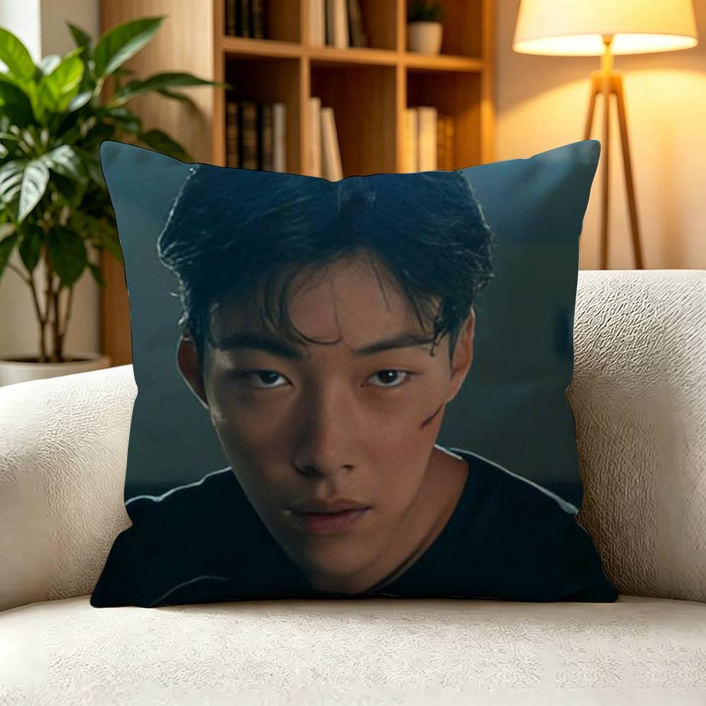 KKorean Action Drama Bloodhounds Pillow Case Square DoubleSided Sofa Cushion Cover Bedroom Bedside Pillow