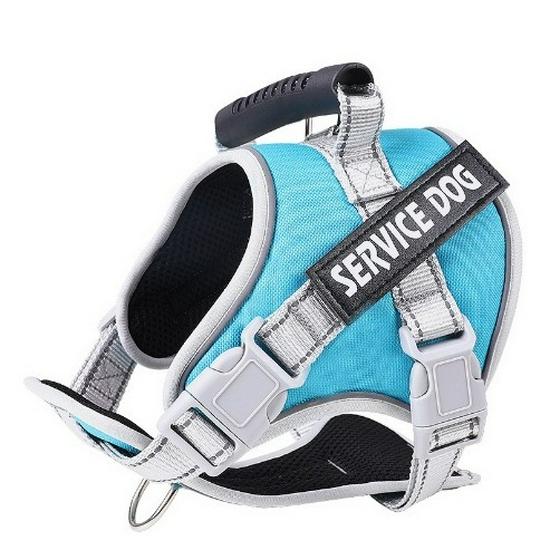 Reflektierende Atmungsaktive Hundeleine & Geschirr - Explosionsgeschütztes Design