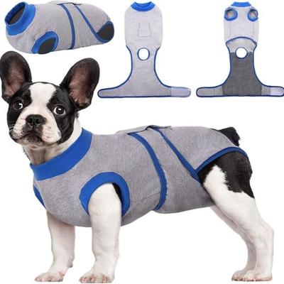 Cães – Cuidados de cães