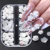 Boxed Set of 90 Camellia Resin Rhinestones for Nail Art - Iridescent 3D Flower Decorations In Various Sizes.