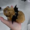 Coarda de tracțiune pentru hamster, anti-evadare și anti-mușcătură, sârmă aurie, sac de miere pentru urs, veveriță zburătoare, animal de companie mic, articol drăguț