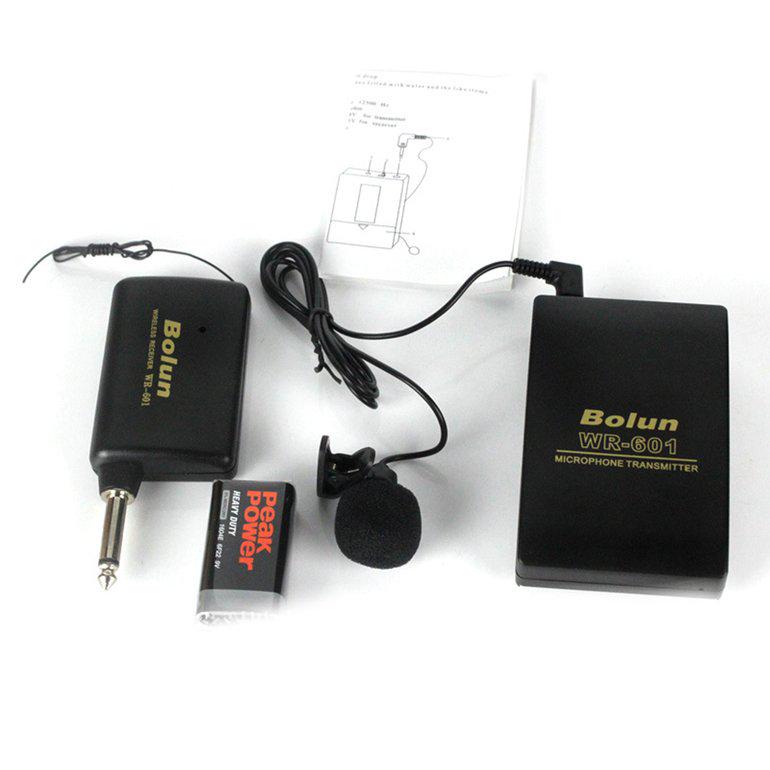 ASHLEY Wireless Microphone System with 