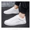 Low-top soft-soled student little white shoes, new spring and summer fashion versatile board shoes, breathable and lightweight sports men's shoes
