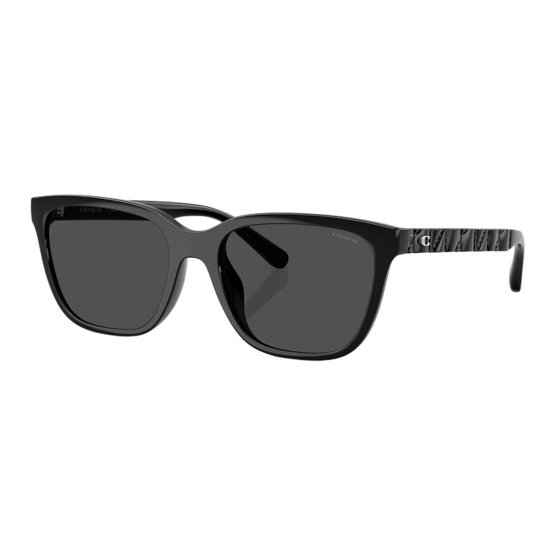 COACH [Available prescriptions] Original Logo Irregular sunglasses Unisex couple style Black чёрный