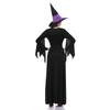 New Halloween Role-Playing Female Ghost Witch Costume Court Purple Long Dress Set Stage Outfit