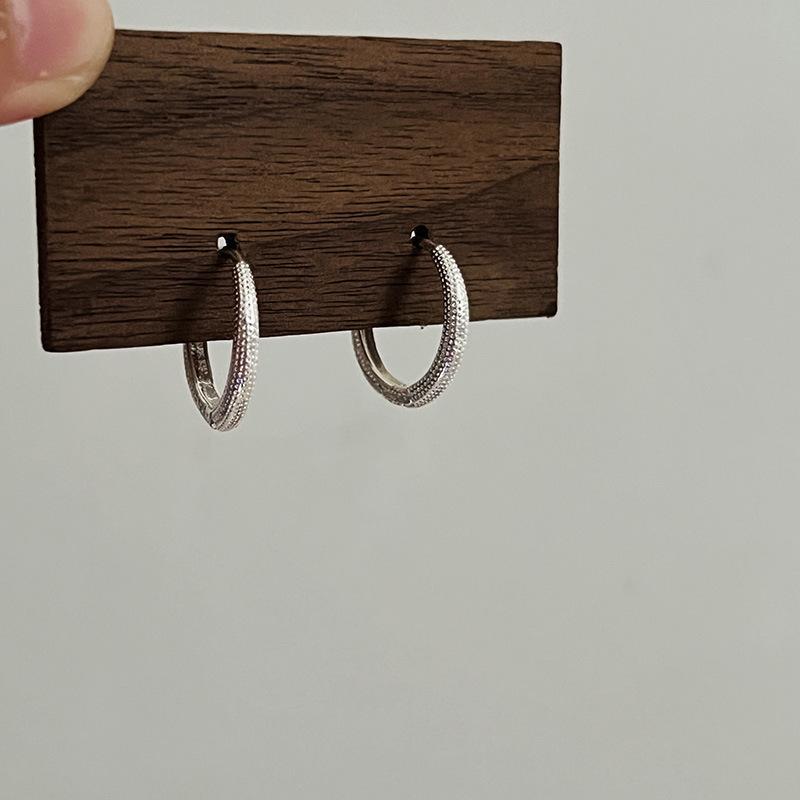 High-end Temperament Silver Earrings for Women
