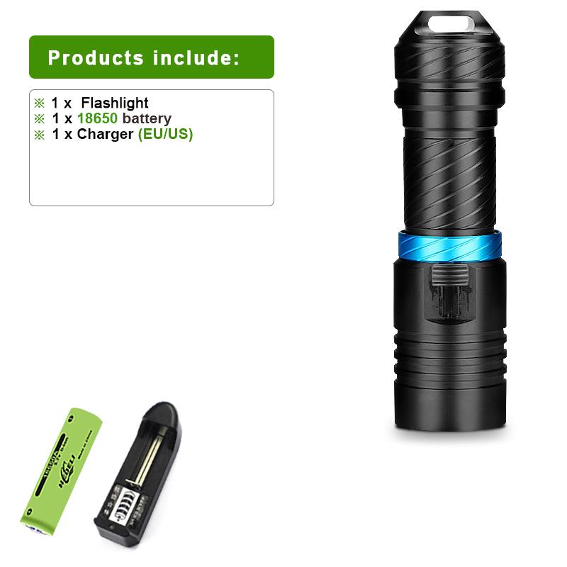 L2 Wick Professional Diving Flashlight Amphibious Torch Light Powerful Flash Light Waterproof Flashlight Underwater Lantern