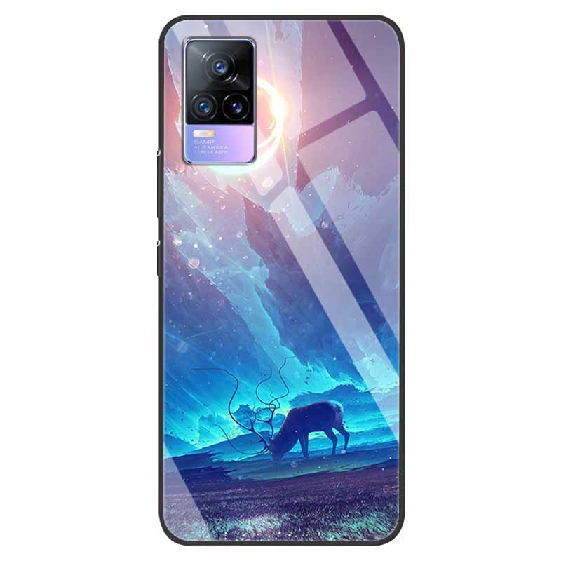 For VivoV21 5G Tempered Glass Case for Vivo V21 5G Soft Bumper Hard Funda For Vivo X60 Pro Global Phone Case X60 5G 2021 Cover