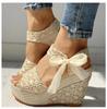 Hot Leisure Lace Women Wedges Heeled Woman Shoes Girls Summer Sandals Party Platform High Heels Dance Shoes
