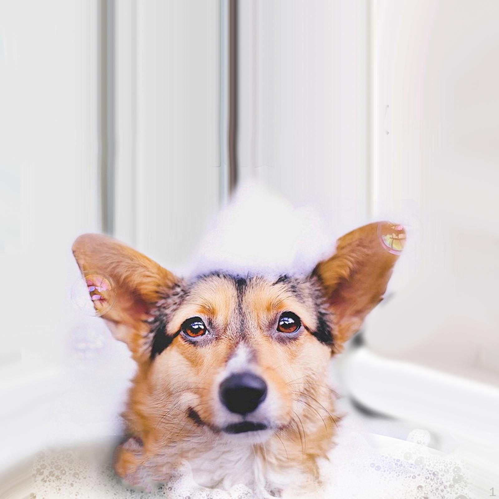 

Light Luxury Tissue Holder Napkin Container Box Desktop Organizer Ornament Dispenser silver gray