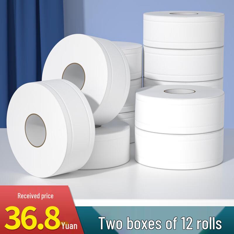 Ally Jumbo Roll Commercial Toilet Paper