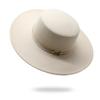 Day Retro Top Hat Women'S Metal Wool Wide Brim Jazz Hat French Panama British Elegant Hat