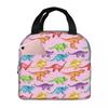 Cartoon Cute Dinosaur Pattern Insulated Lunch Bag for Kids School Cooler Thermal Food Box Tote Leakproof Lunch Boxes Container