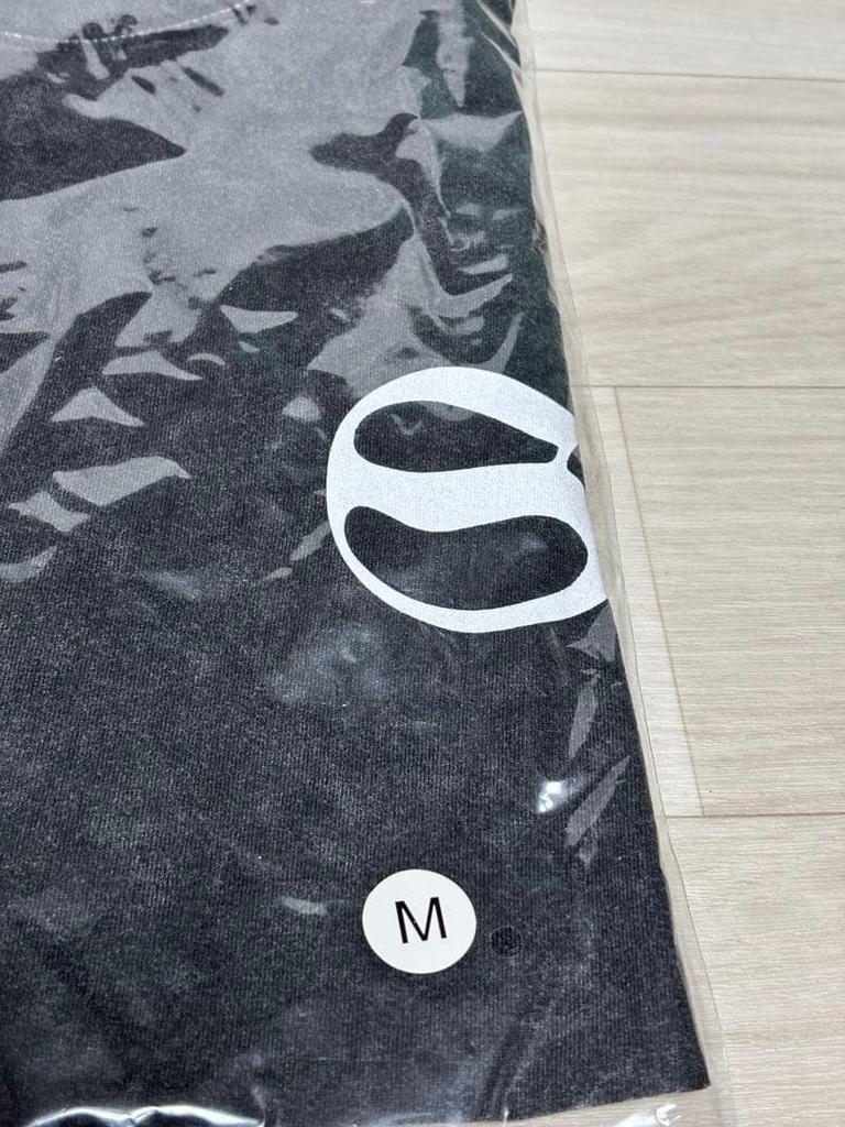 [USED] Stray Kids World Tour Long Sleeve T-Shirt, Size M