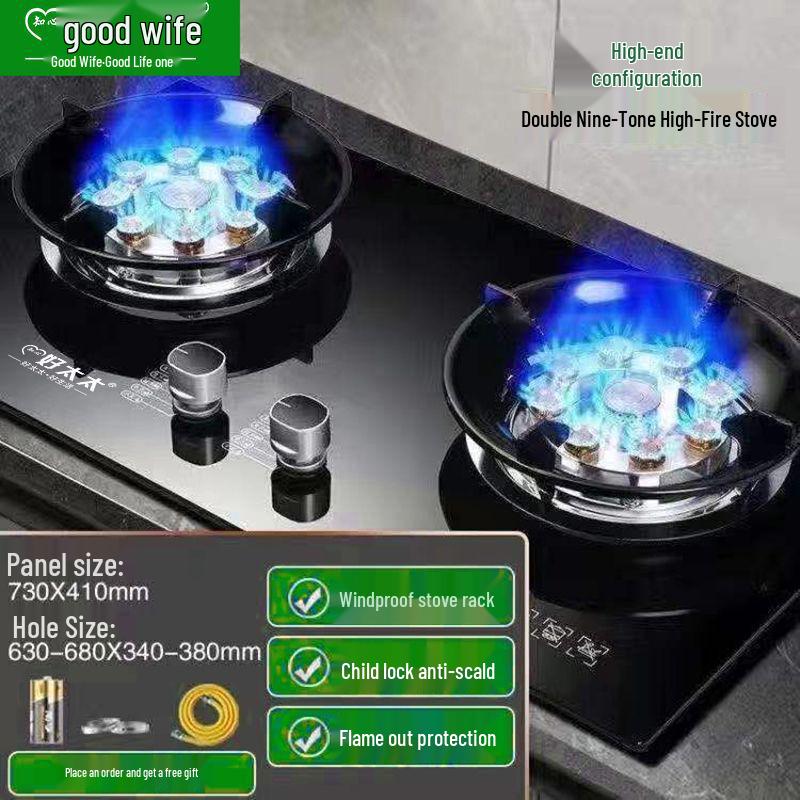 Good Wife Double Burner Gas Stove: Tabletop & Embedded, for Natural or Liquefied Petroleum Gas