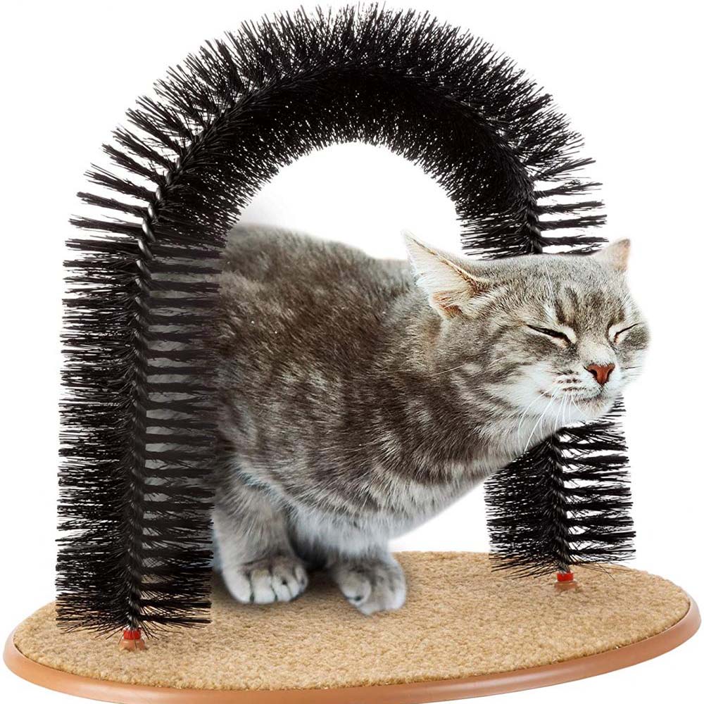 cat brush arch