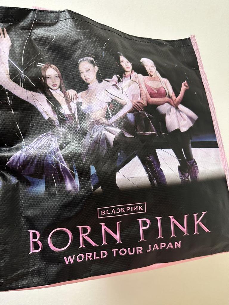 [USED] Price Reduced! BLACKPINK Light Stick Ver.2 with Premium Bonus