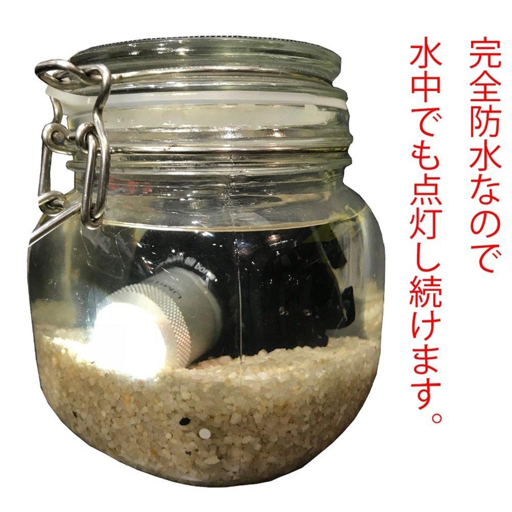 MAZUME Focus One Limited Red MZAS-301-03