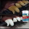 The Formula Is Suitable for Dogs and Cats with Sensitive Gums