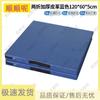 Shunshunne Foldable Gymnastic and Exercise Mat