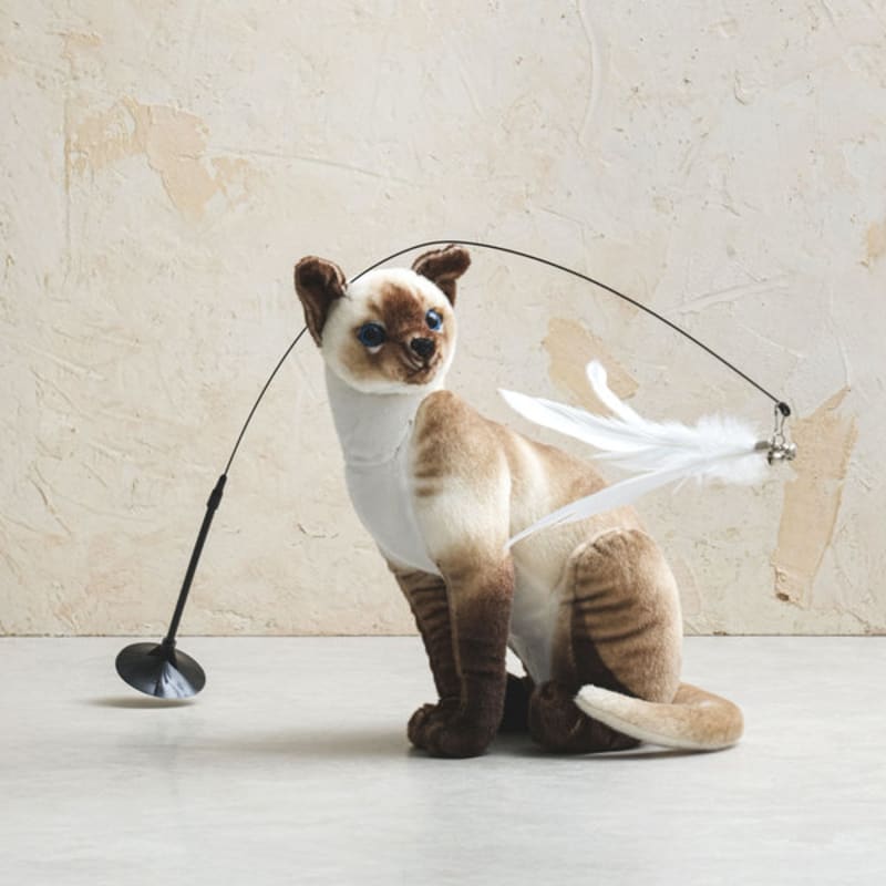 [Haustier] Feder-Saugnapf-Spielzeug