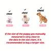 New Two-legged Multi-color Dog Clothing, Puppy Thin Velvet Sweater, Dogs And Cats Pet Clothes For Autumn And Winter