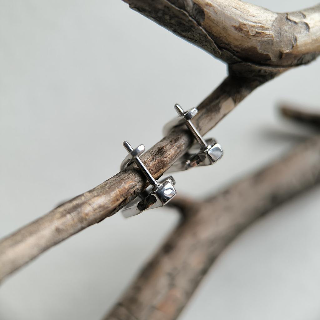 Silver Earrings with Natural Cubic Zirconia, Onyx (2199298)