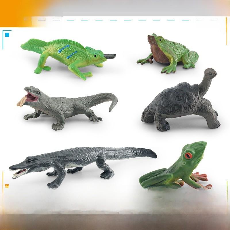 Realistic Pvc Amphibian And Reptile Model Pack For Display And Educational Use