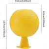 Non-Toxic Indoor Sticky Fly Trap for Fruit Flies & Mosquitoes