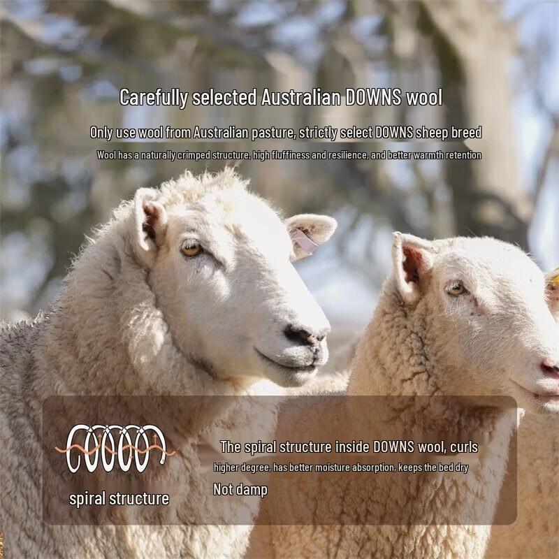 Mercury Home Textiles 100% Australian Wool Four Seasons Quilt