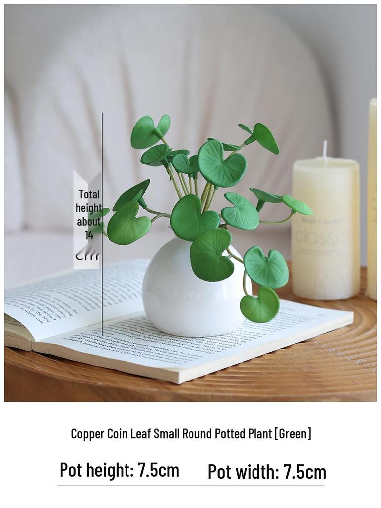 Miniature Succulent Bonsai Desk Ornament: Green Plant Props for Home or Office Decor