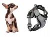 Dog Harness Pressure-Free Gray (100) Gab_A