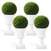 Jardim e horta – Vasos e caixas para jardim