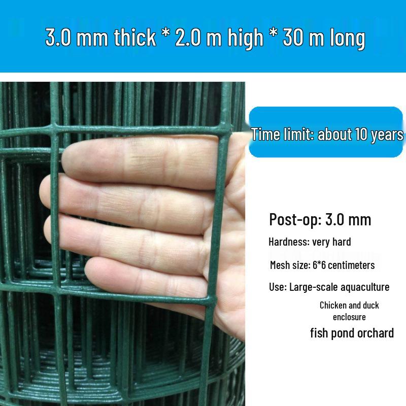 Rustproof Green Plastic-Coated Mesh Wire Fence for Chicken Enclosure
