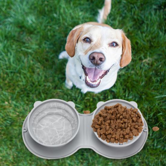 Bowls with Non-Slip Mat BPA-Free Durable Safe Pet Food Feeding Bowl for Hiking Camping