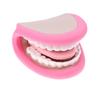 Kids Mouth Hand Puppet 28 Teeth Tongue Mouth Puppet For Speech Improvement Mouth Puppet For Speech Learning