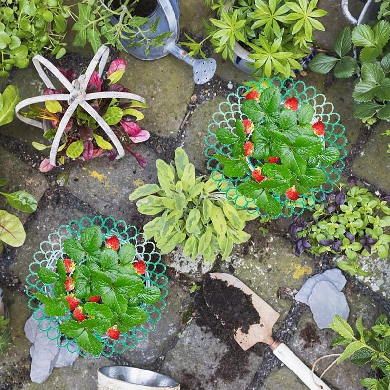 2/5/10Pcs Strawberry Support Stands with 3 Sturdy Legs Strawberry Growing Racks Berries Growing Frame Holder for Garden Homegrow
