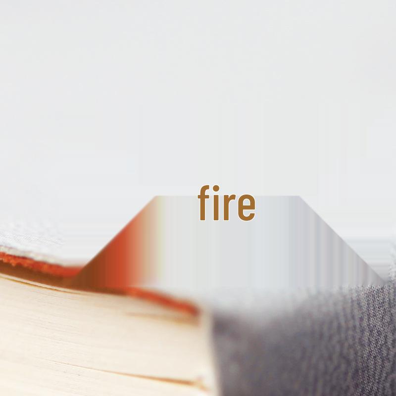 

925 Sterling Silver Gold-Plated Ear Cuffs: Cute Kitten Literary Earrings with Animal Pattern for Women 925 Silver