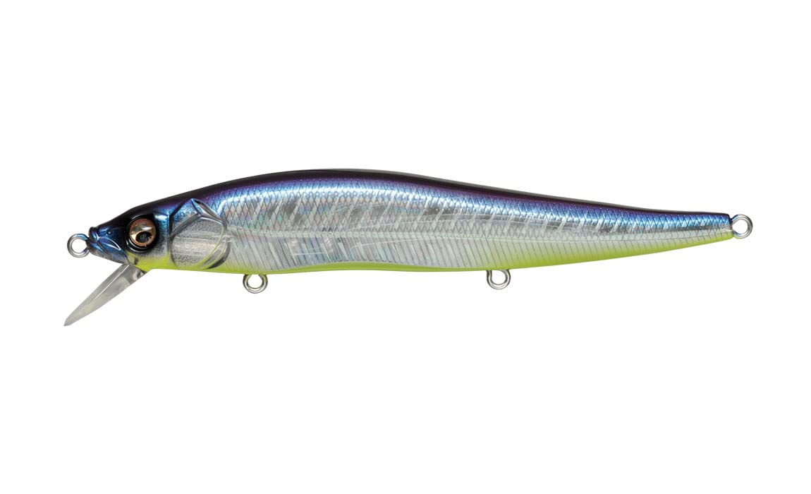 

Megabass Vision 110