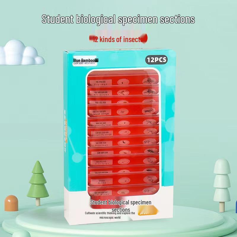 Tragbares Outdoor-Mikroskop-Set für junge Wissenschaftler: Lehrreiche praktische Experimente für Grund- und Sekundarschüler