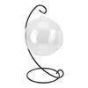 Hanging Glass Vase Large Terrarium with Frame for Air Plants Succulent Planters