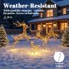 3-Piece Light Up Deer Family Set of 3, Lighted Reindeer Christmas Decorations Outdoor with 200 LED Lights, Brown
