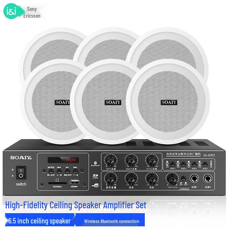 Soaiy SA-6003Y Bluetooth Ceiling Speaker System