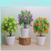 Simulated Murraya Exotica Flower With Plastic Pot For Gift Display And Interior Accents