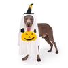 This Adorable Pumpkin Pet Costume Turns Your Dog Into Halloween Spirit! Soft Fabric With Cute & Pumpkin Designs, Easy To Wear. Perfect For Parties